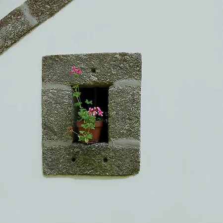 Casa de Campo Quinta Do Ouro