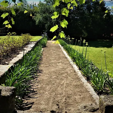 乡村民宿 Quinta Do Ouro